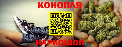 Альфа ПВП Заволжье