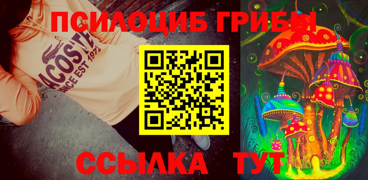 Псилоцибиновые грибы GOLDEN TEACHER  Вход с VPN  закладки  Галлюциногенные грибы Psilocybe  Магадан 
