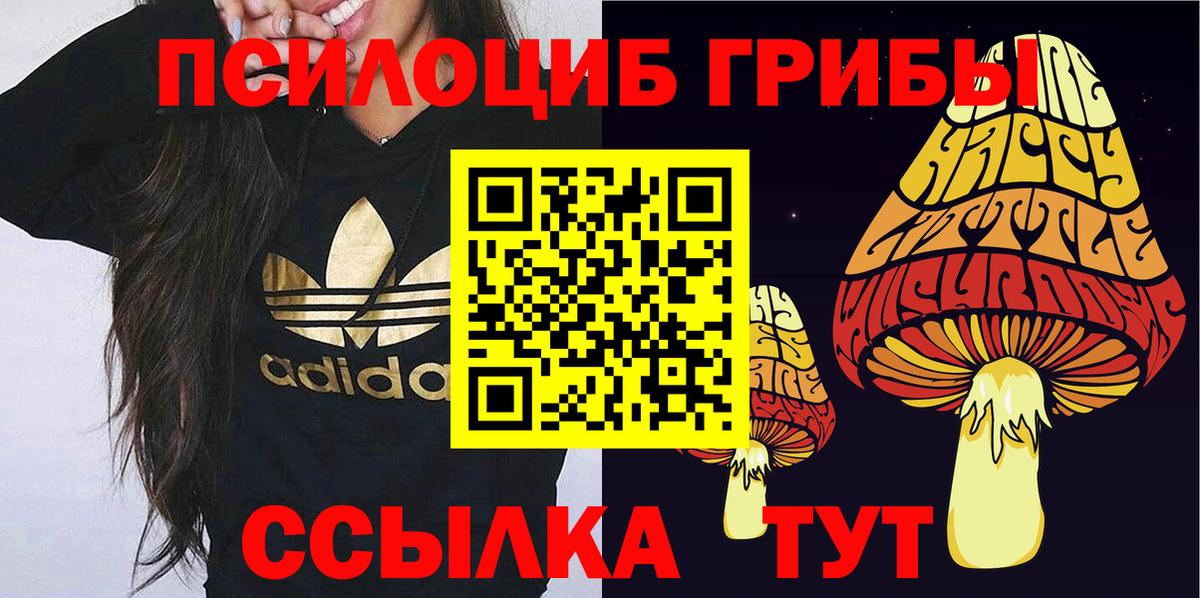 Псилоцибиновые грибы мухоморы Магадан